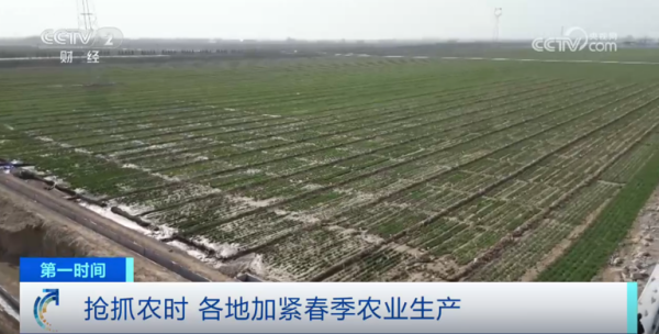 心系粮安、山田无阻、服务有恒|托普云农2025年智能装备巡检服务全面启动