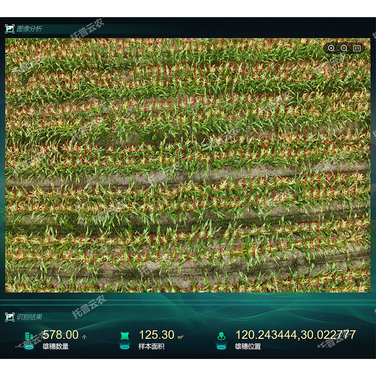 【750】玉米表型生长监测系统1_副本.jpg