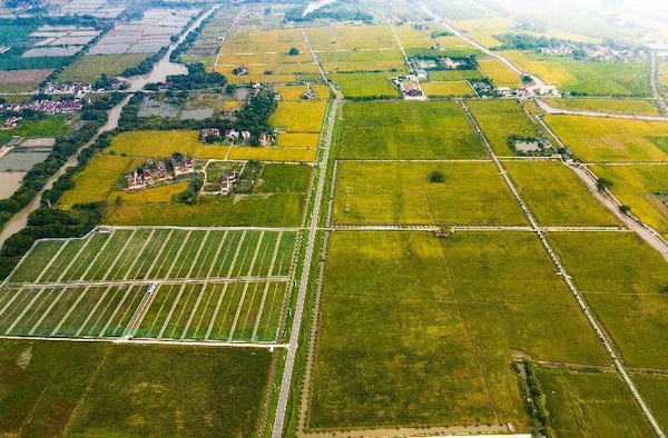 高标案例丨托普云农助力善琏镇农田“数智”升级