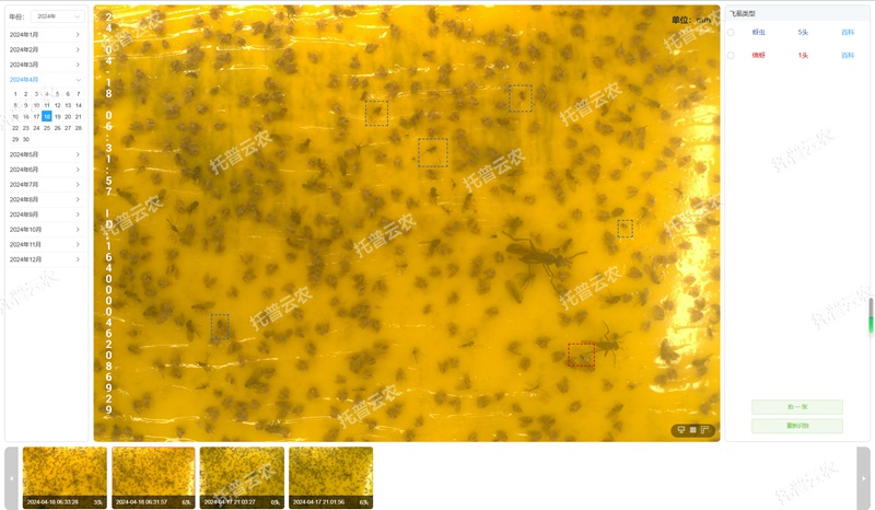 4. 智能识别 自动计数_副本.jpg