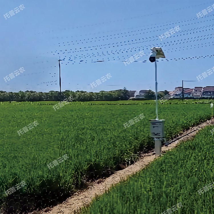 自动赶蛾智能统计杆