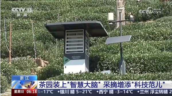 央视、人民网等权威媒体聚焦西湖龙井：托普云农“黑科技”点亮千年茶香智变之路