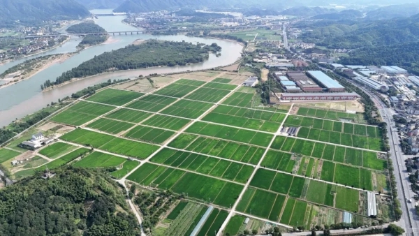 屏幕种田、数据施肥，看托普如何助力桐庐绘就共富新画卷