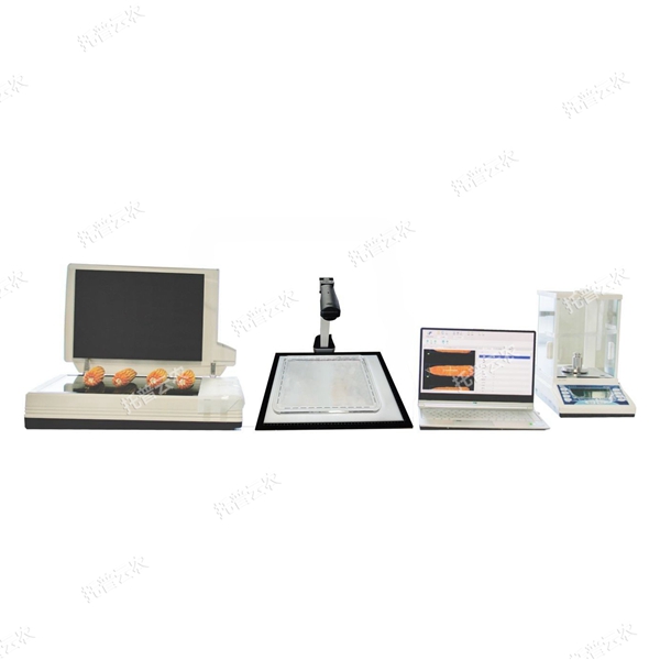 自动种子考种分析及千粒重仪