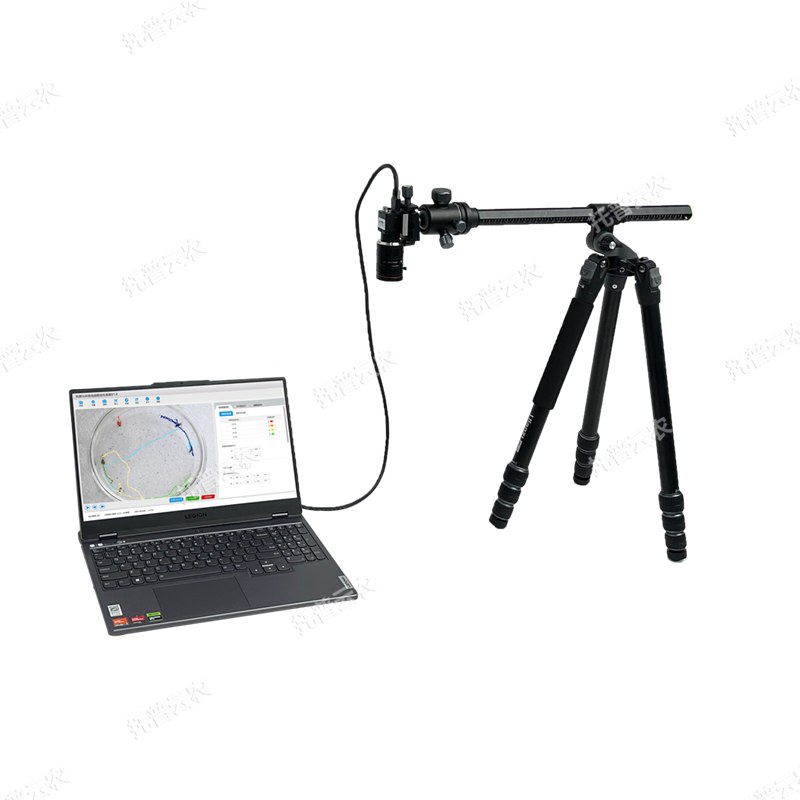 昆虫行为分析系统