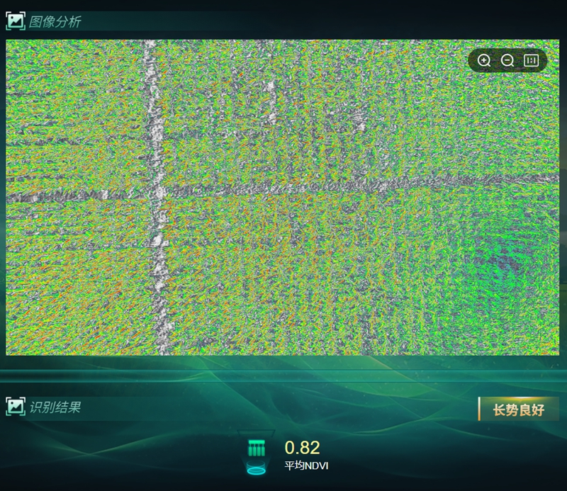 长势分析_副本.jpg