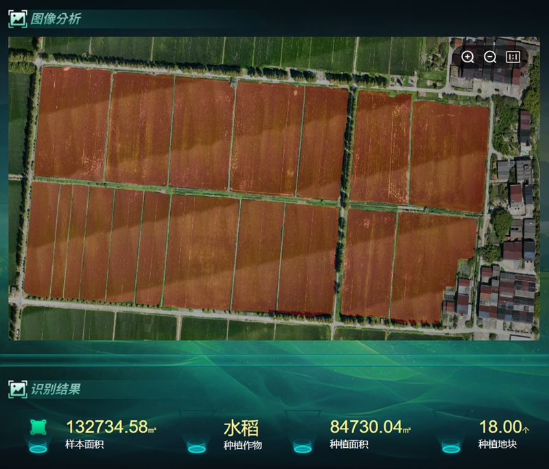 种植面积_副本.jpg