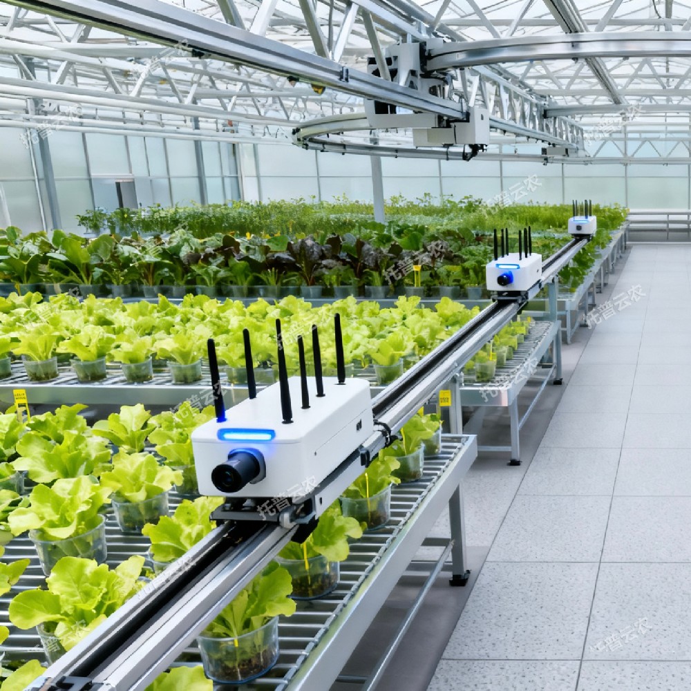 温室巡轨式表型采集分析系统