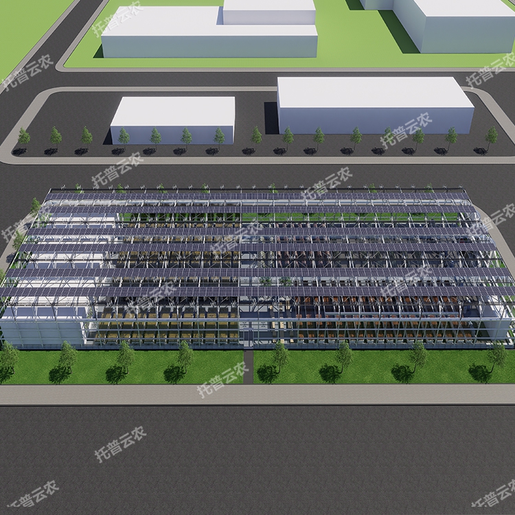 温室型植物工厂