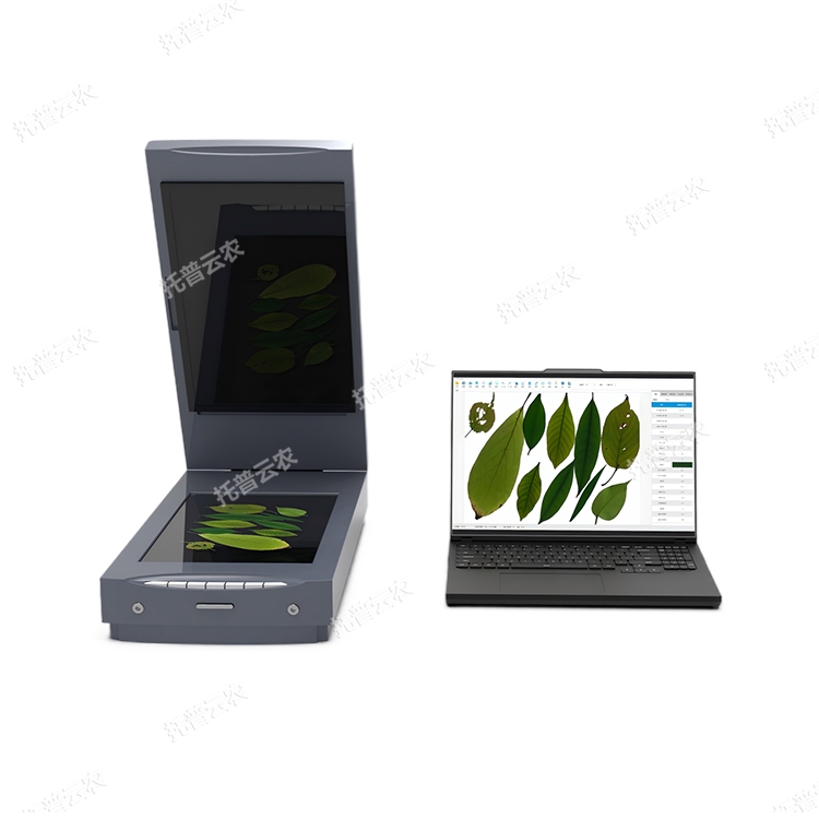 叶面积分析系统