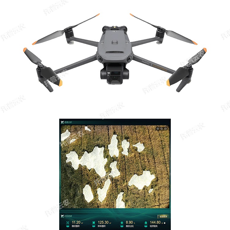 低空遥感植物表型分析系统（农业无人机）