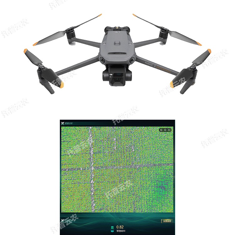 玉米表型生长监测系统（农业无人机）