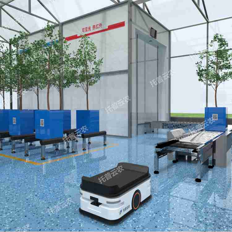 盆栽果树高通量表型采集分析系统